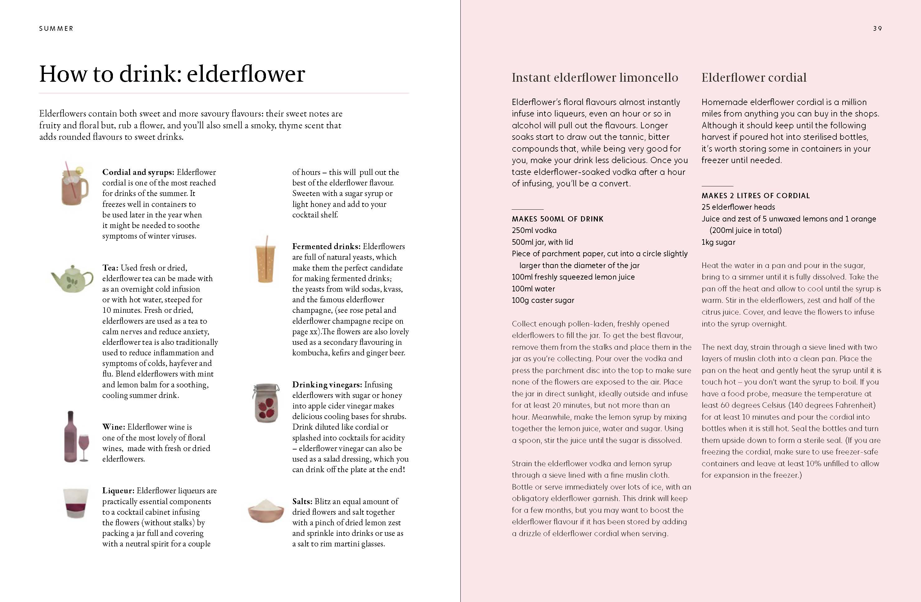 A Forager's Guide to Wild Drinks