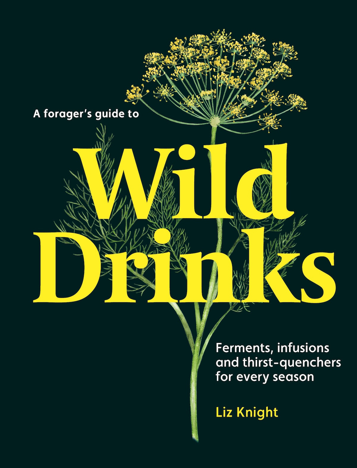 A Forager's Guide to Wild Drinks