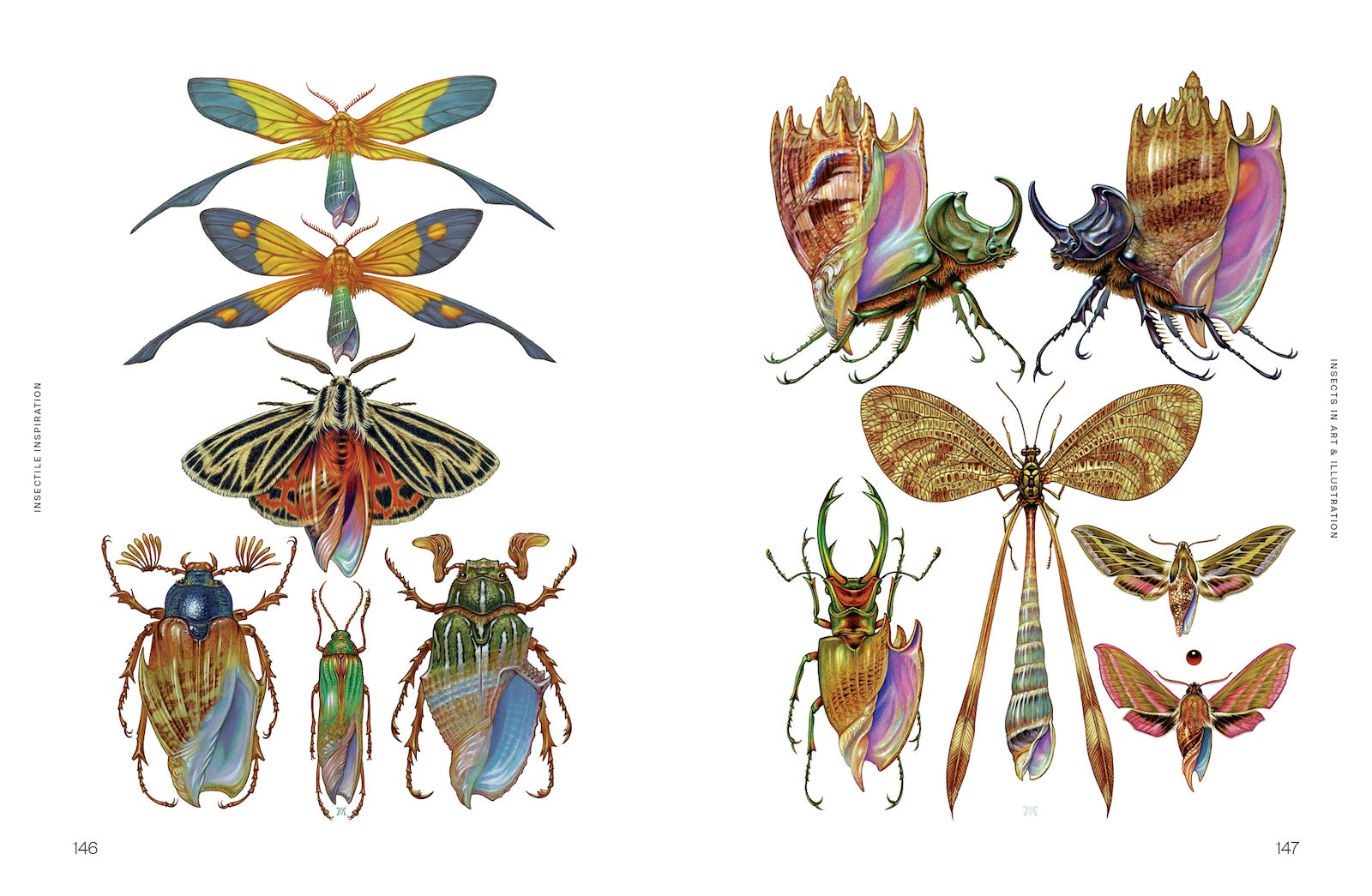 Insectile Inspiration - Insects in Art and Illustration