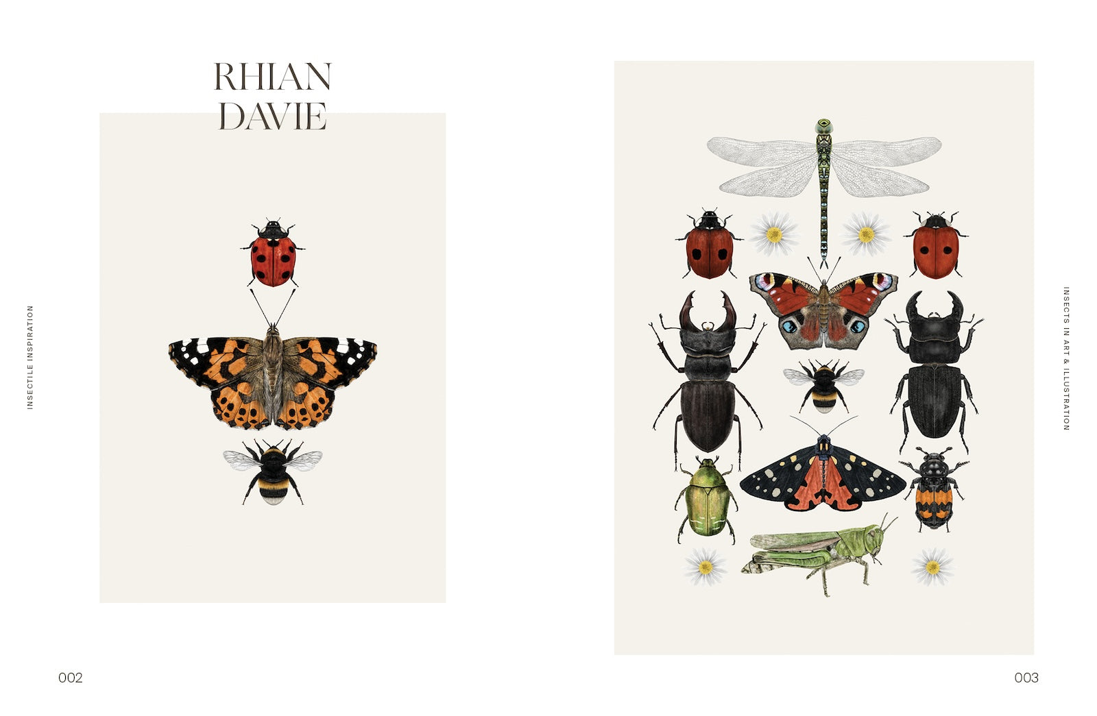 Insectile Inspiration - Insects in Art and Illustration