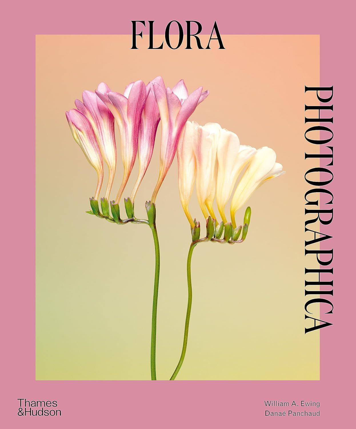 Flora Photographica