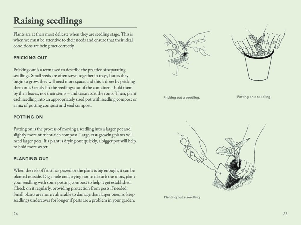 The Seed Collector's Kit