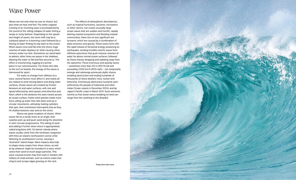 Ocean - From the Shore to the Abyss