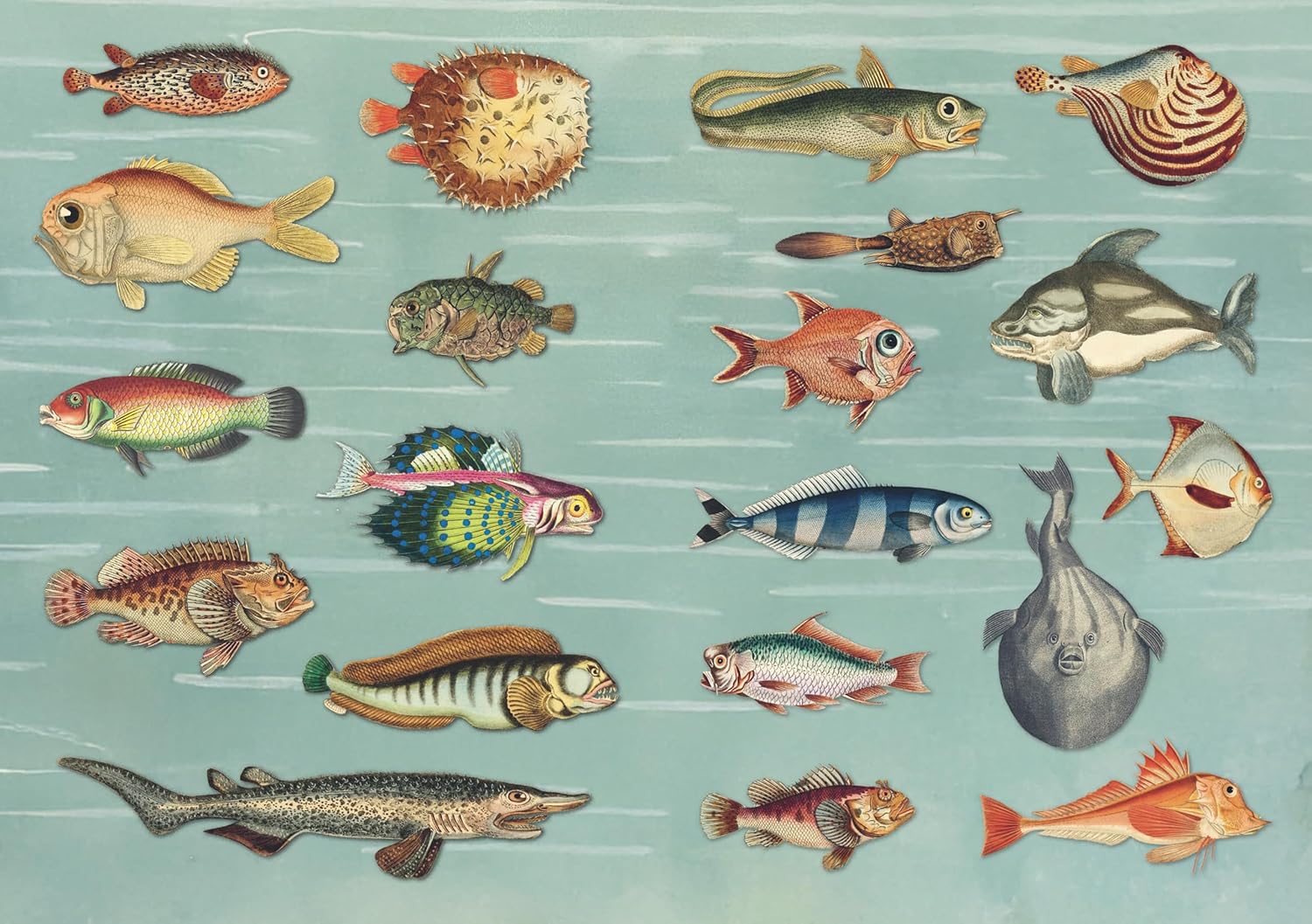 The Curious Collectibles Sticker Book