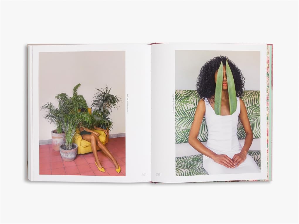 Brooke DiDonato - Take a Picture. It Will Last Longer