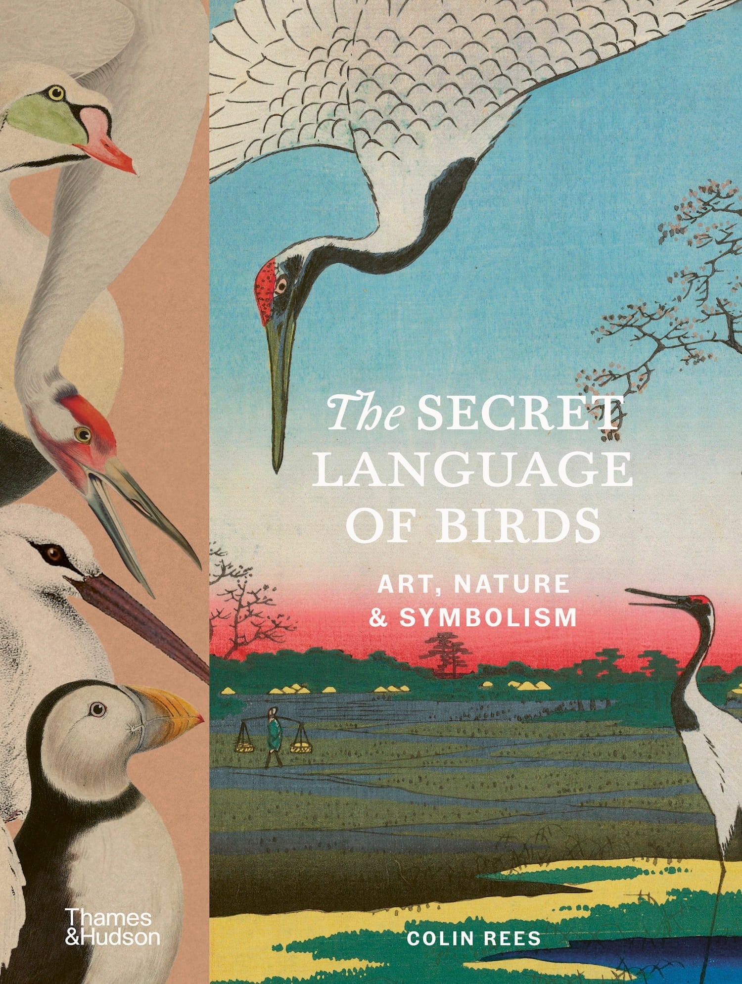 The Secret Language of Birds