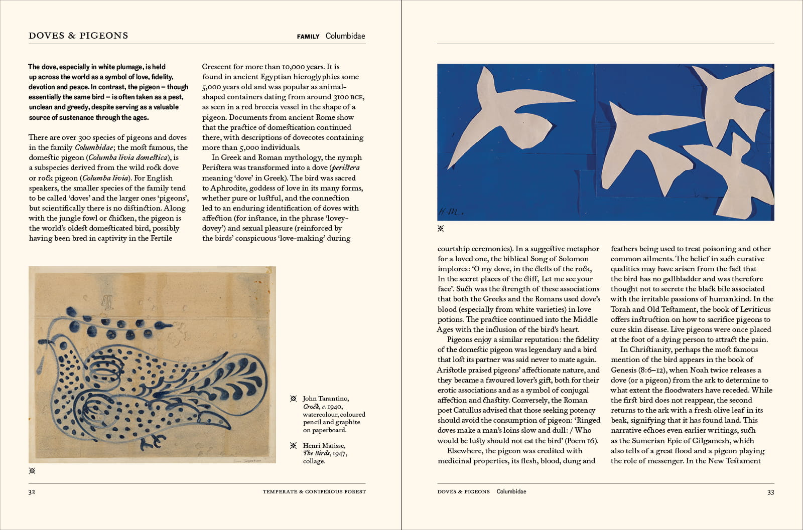 The Secret Language of Birds