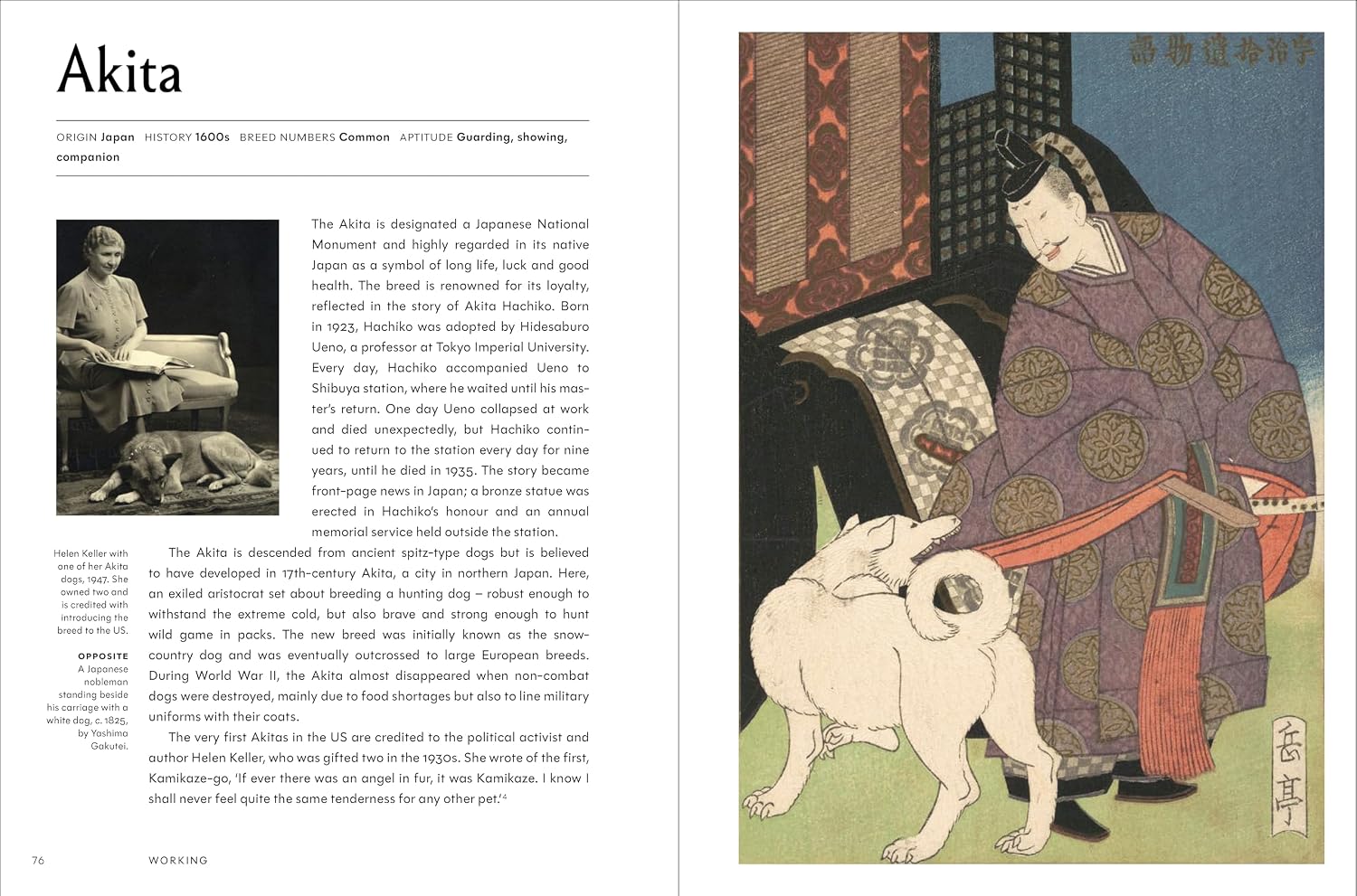 The Invention of the Dog 75