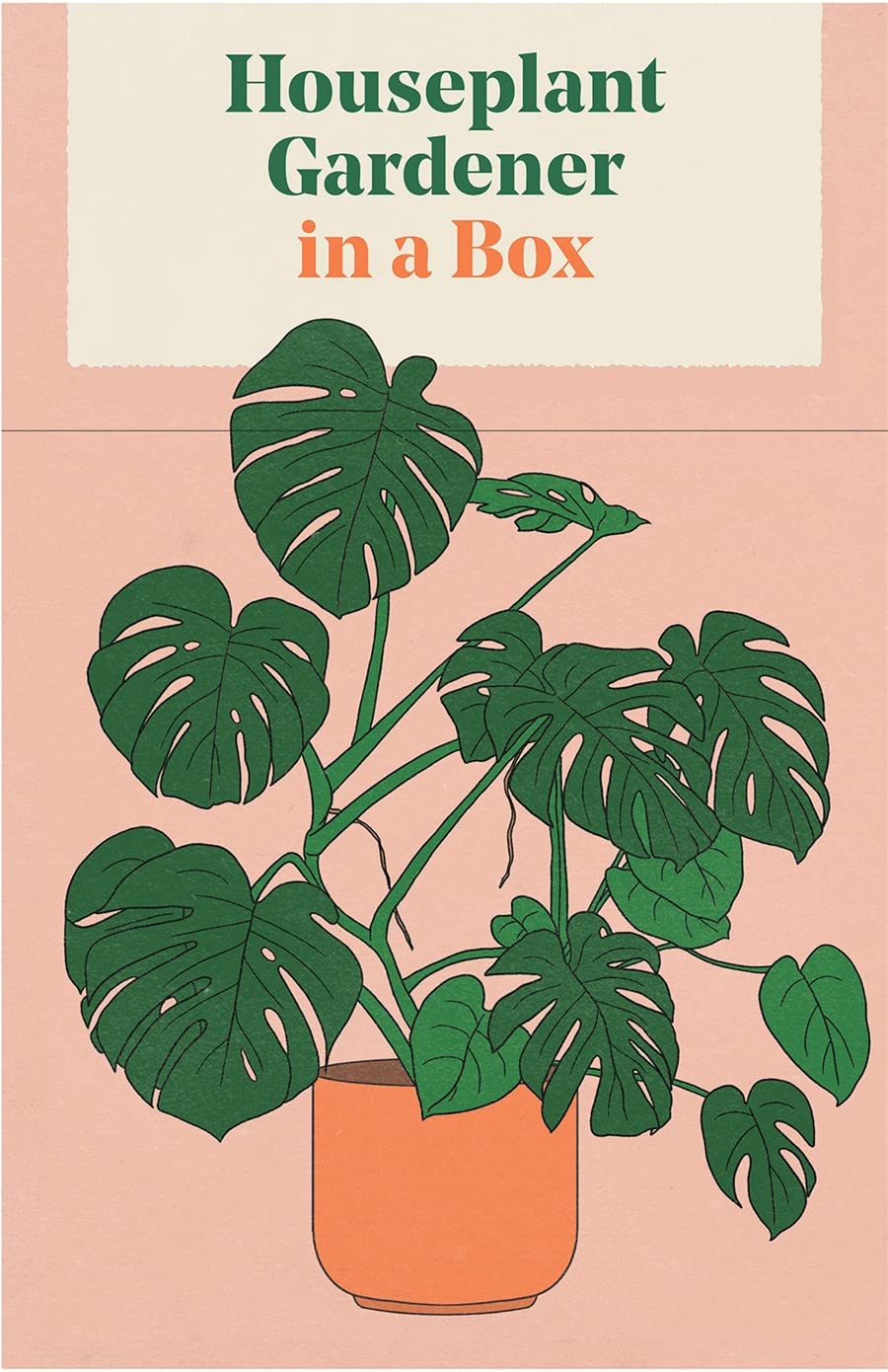 Houseplant Gardener in a Box