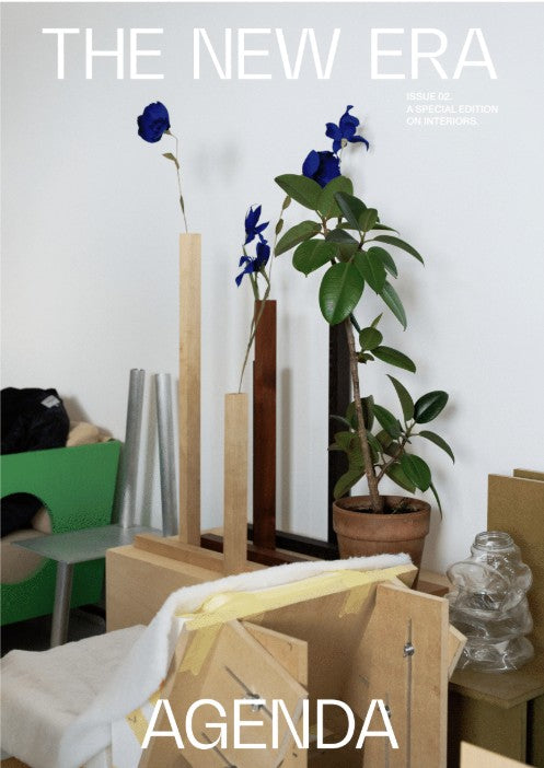 The New Era Agenda, Issue 02