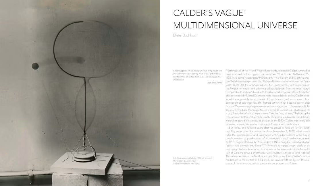 Calder - Dreaming in Equilibrium