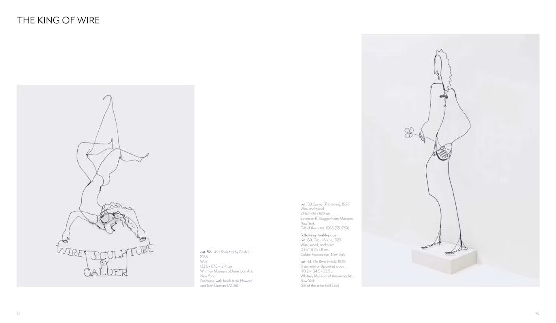 Calder - Dreaming in Equilibrium