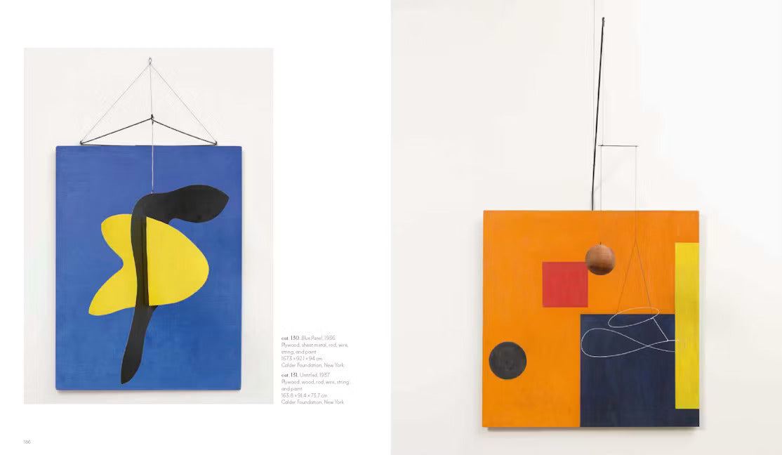 Calder - Dreaming in Equilibrium