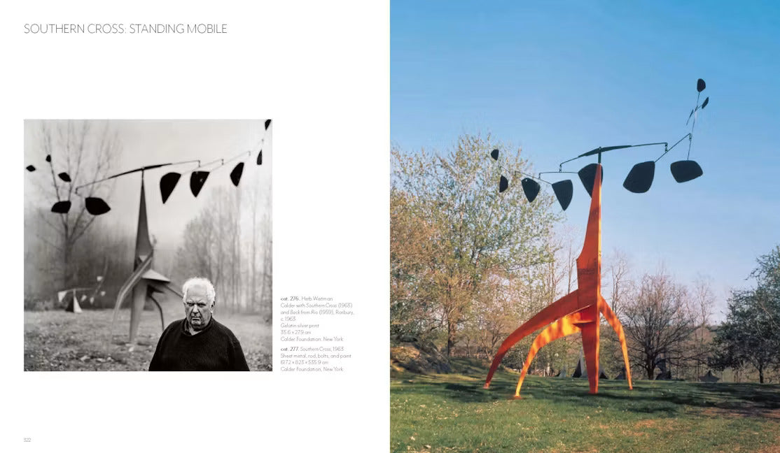 Calder - Dreaming in Equilibrium
